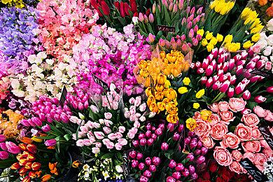 开放世界日系奇幻RPG游戏《海洋幻想》现已正式推出 获多半好评